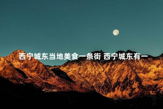 西宁城东当地美食一条街 西宁城东有一条街集中美食